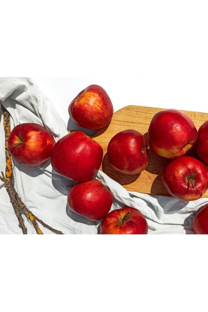 Великі яблука сорту Чорний Принц з майже чорним глянцевим забарвленням